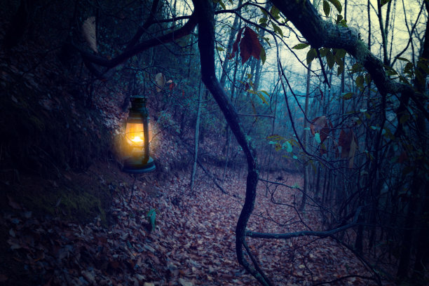 黑暗的老森林里的老式金属灯笼图片下载