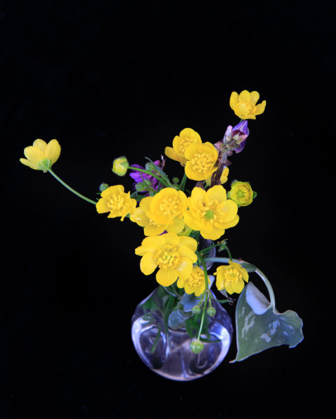 幸福的花朵图片下载