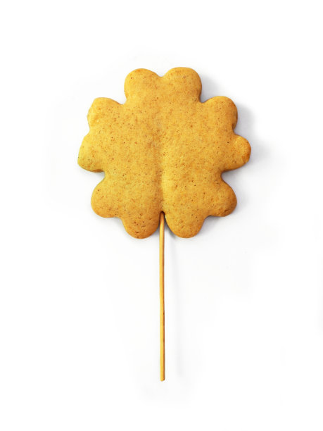 自制的姜饼，在白色的背景上用棍子做成花的形状，饼干图片下载