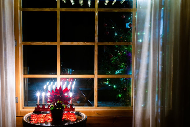 温馨的家与圣诞庆祝图片下载