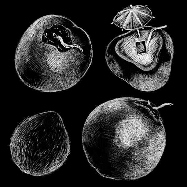 可可坚果白色粉笔在黑色背景。椰子手绘插图。图片下载