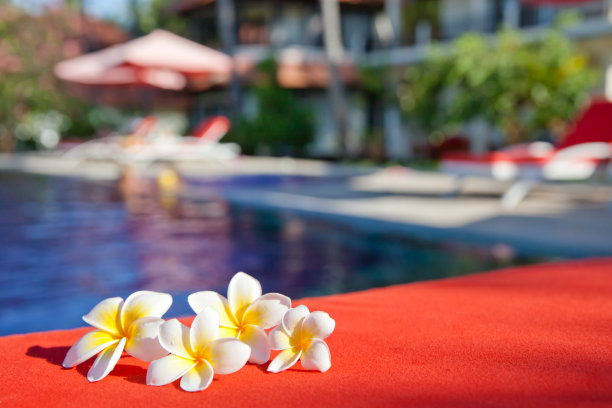 池边的鸡蛋花。休闲区。图片下载