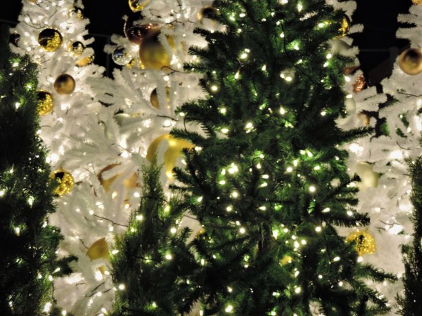 圣诞快乐图片下载