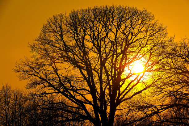 莫斯科秋冬日落。图片下载