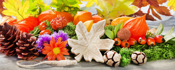 花园-装饰和水果图片下载