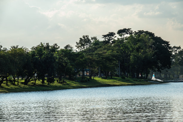 大自然背景是绿叶树，在夏季或春季环境中有水。图片下载