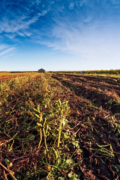 犁沟尽头的谷仓图片下载