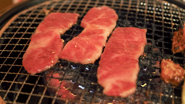 特写的日本烧肉babque风格的热板。(选择聚焦)图片下载