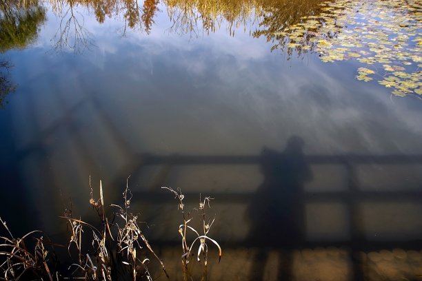 秋天reflection-VA104图片下载