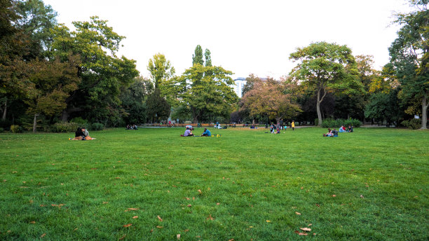 城市公园的草坪图片下载