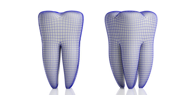 牙齿模型和防护盾隔离在白色背景上。三维演示图片下载