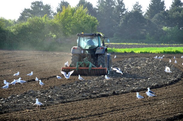 拖拉机耕地图片下载