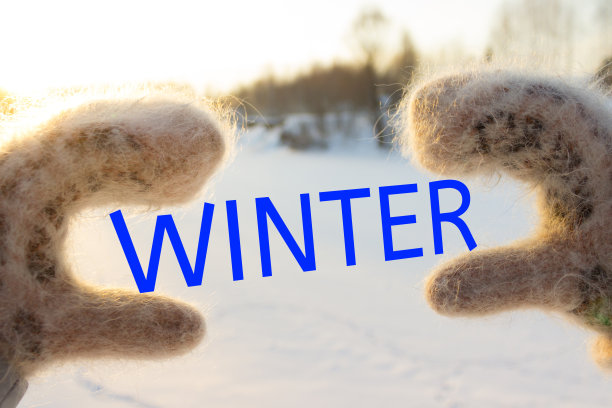 雪中手套的心。冬季针织手套图片下载