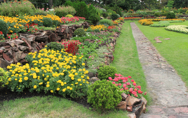 色彩缤纷的花坛与绿色的草和小路在一个美丽的花园图片下载