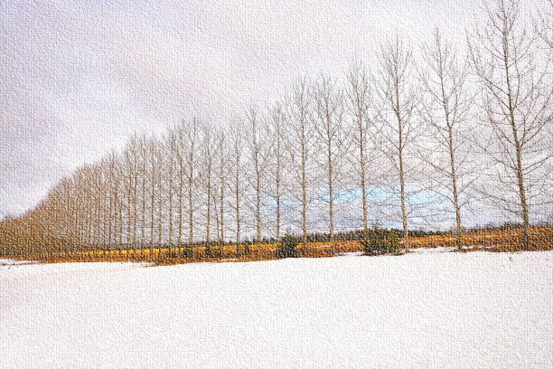 冬季树木在一排帆布纹理抽象图片下载