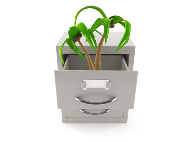 档案内的棕榈树图片下载