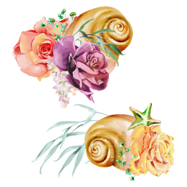 美丽的水彩花，花圈，花束，安排，用贝壳，贝壳和海星组成。有茎和叶的玫瑰图片下载