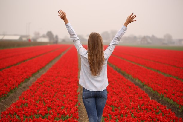 美丽的女人在红色的领域摆姿势图片下载