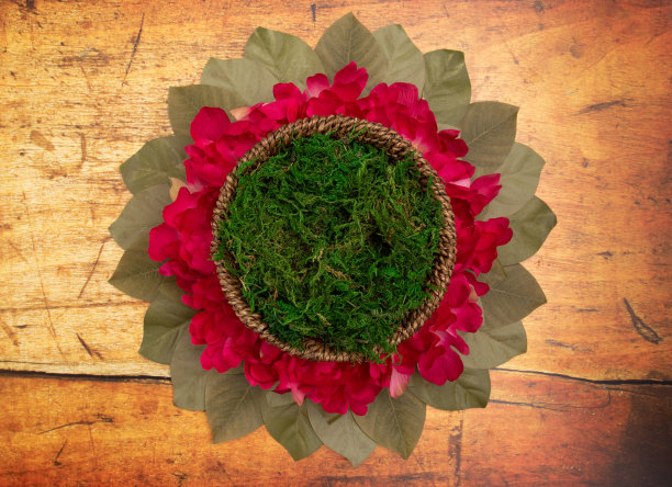 圆形绿苔数码新生儿背景新生儿摄影师图片下载