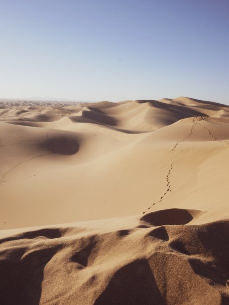 迷失在沙漠图片下载