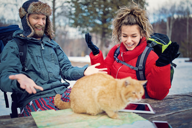 一对徒步旅行的夫妇正在山上的地图上寻找一只跳来跳去的猫图片下载