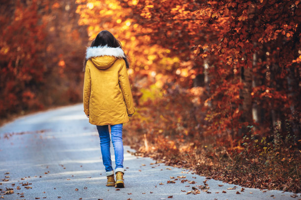 孤独的少女在秋天的森林里图片下载