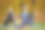 一群年轻女子在秋季城市公园做瑜伽练习。健康生活方式的概念图片下载