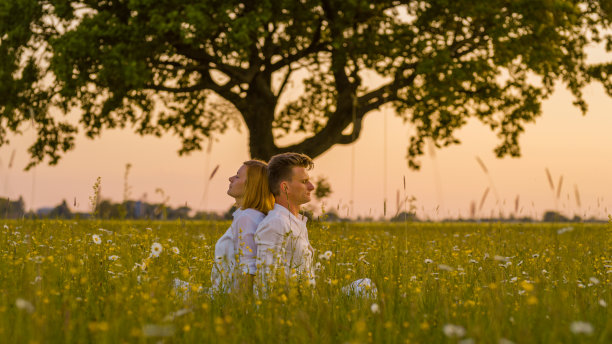 一对夫妇背靠背坐在草地上图片下载