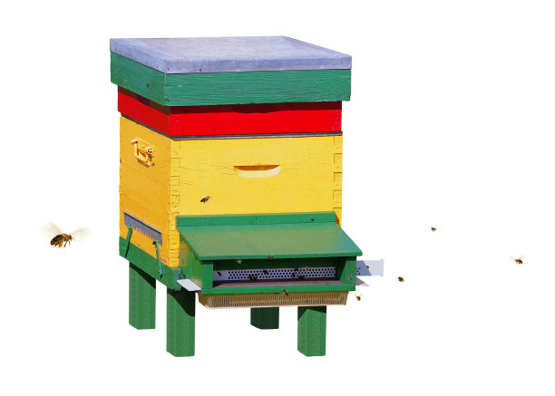 彩色的蜂巢被蜜蜂包围，孤立在白色的背景上。图片下载