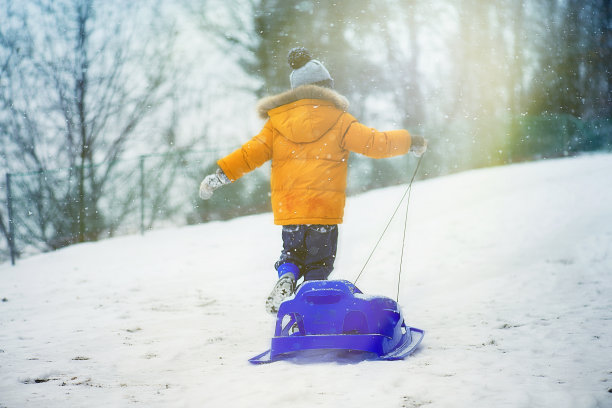 玩雪橇的孩子图片下载