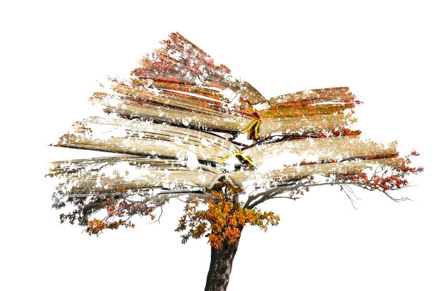 书和树双重曝光。孤立在白色的。图片下载