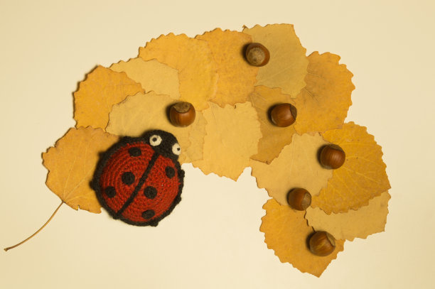 编织的瓢虫用榛子在秋叶上爬行。植物标本室和手工玩具图片下载