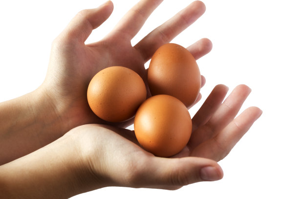 手上的鸡蛋在白色背景上分离图片下载