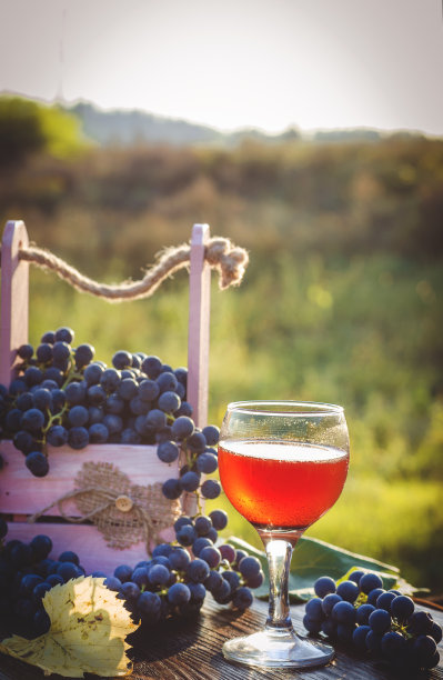 新鲜的玫瑰葡萄酒和葡萄图片下载
