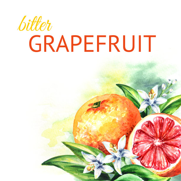 柚子的背景。水彩手绘插图图片下载