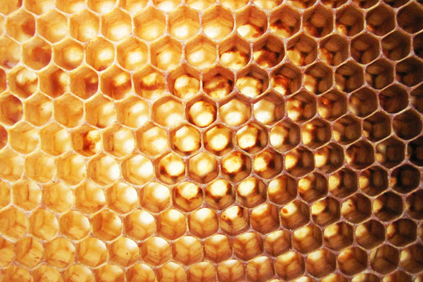 蜂蜡的背景图片下载