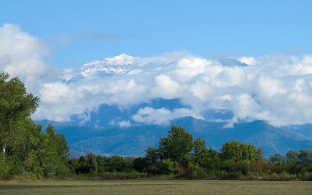 森林和山与云。图片下载