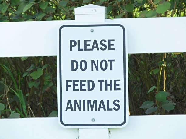 请不要给动物喂食图片下载