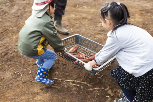 农场工人的农业经验图片下载