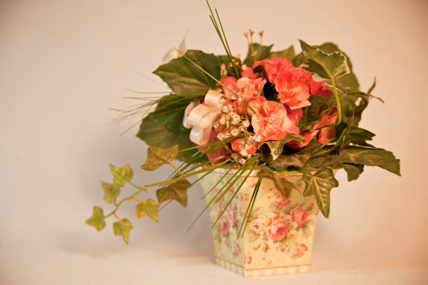 装饰中的花图片下载