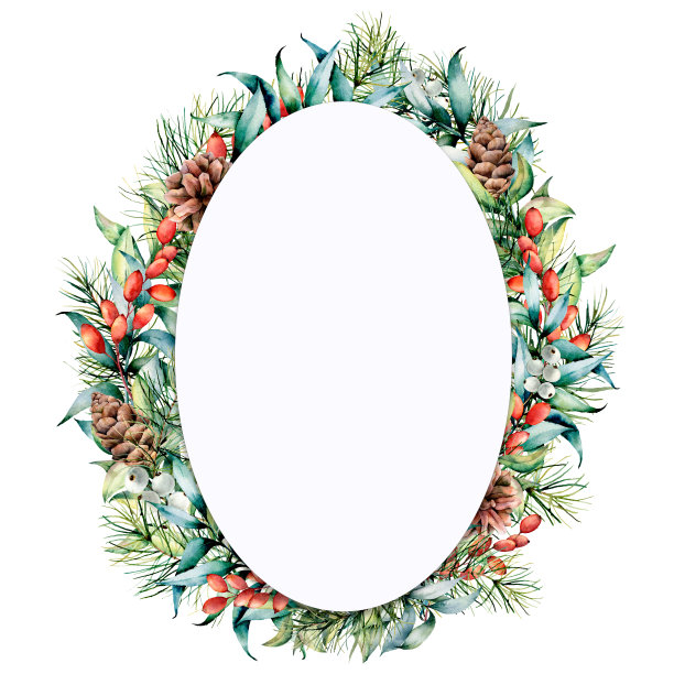 水彩椭圆形花框架与冬季植物。手绘桉树和冷杉树枝，球果，星星，浆果和树叶孤立在白色的背景。设计圣诞卡图片下载