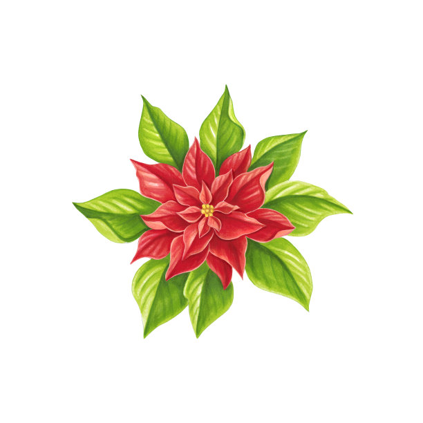 圣诞星彩笔图片下载