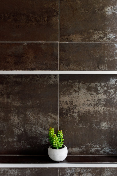 浴室瓷砖和植物细节-家居装饰图片下载