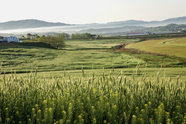 草原-VA104图片下载