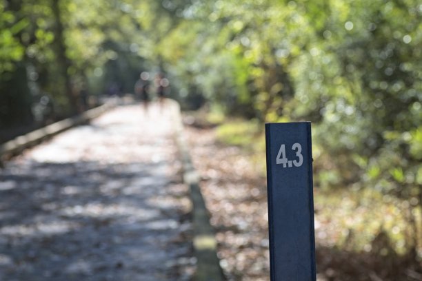 第三英里图片下载