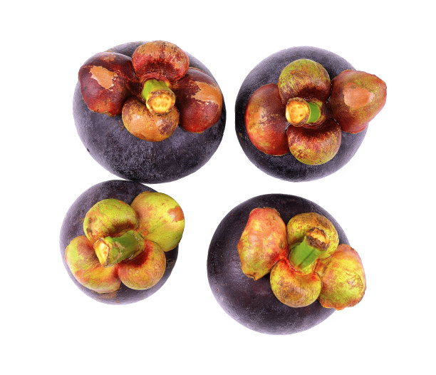 山竹孤立在白色背景上。图片下载