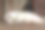 小猫咪的特写照片。猫正在睡觉和放松图片下载