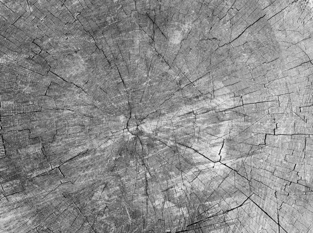 摘要裂木古朴，螺旋式背景图片下载