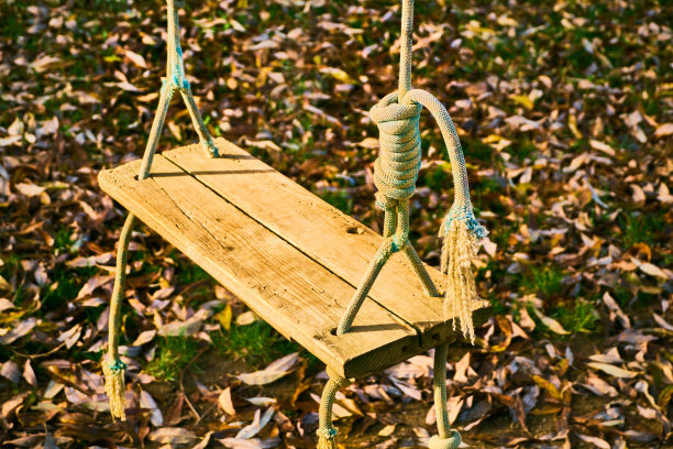 观在绳子上荡秋千的秋天图片下载