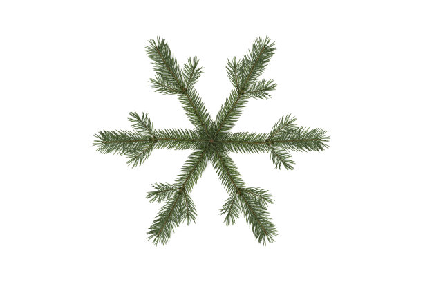 在白色背景上孤立的冷杉树枝制成的雪花图片下载